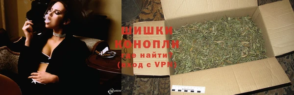 гидра Волоколамск