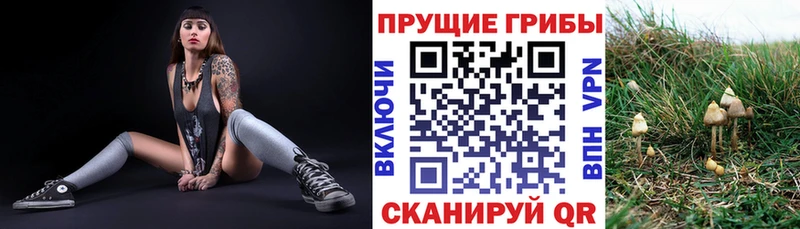 Псилоцибиновые грибы Cubensis  KRAKEN tor  Яровое 