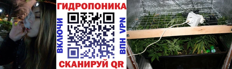 OMG вход  Яровое  Марихуана Ganja  продажа наркотиков 